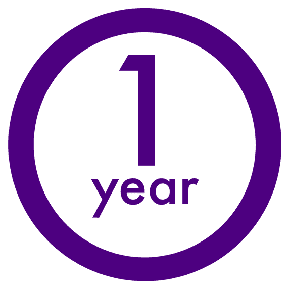 icon 1 year